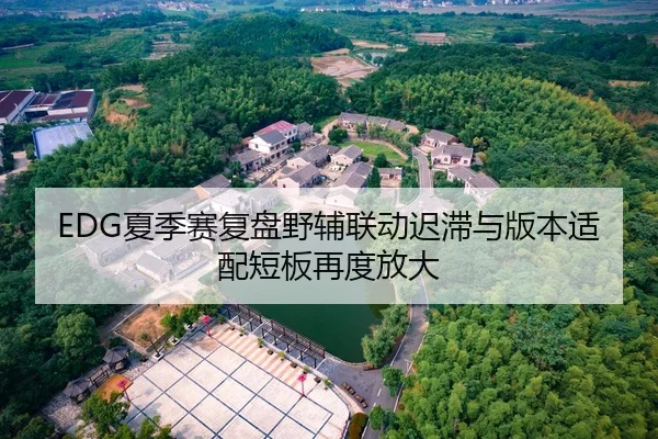 EDG夏季赛复盘野辅联动迟滞与版本适配短板再度放大